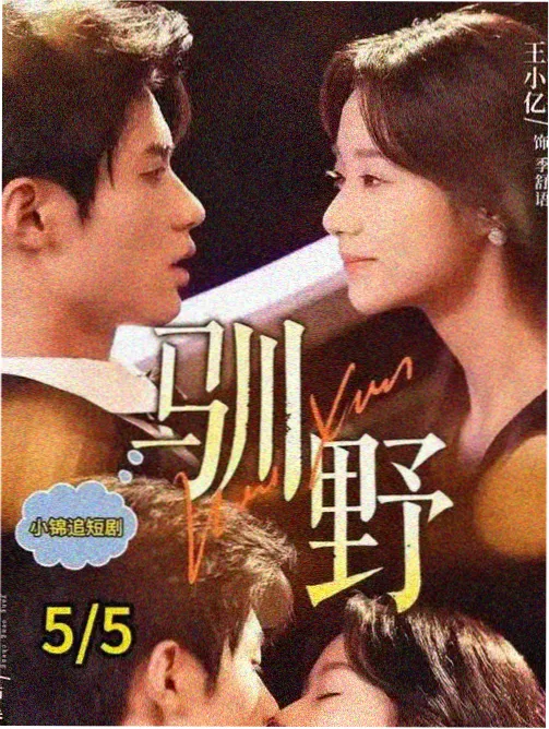 飘花影院电视剧全集免费-长夜灯火